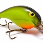 Standard Crankbait