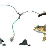 3 Way Bottom Bouncer with Leech Example