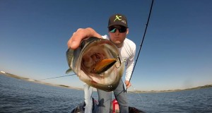 4 Types Of Crankbaits That Catch Fish 4 Types Of Crankbaits That Catch Fish