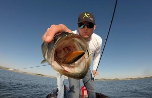 4 Types Of Crankbaits That Catch Fish 4 Types Of Crankbaits That Catch Fish