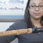 How To Repair Your Cork & EVA Fishing Rod Handles