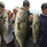 Differences Between Largemouth and Spotted Bass