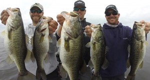 Differences Between Largemouth & Spotted Bass Differences Between Largemouth and Spotted Bass