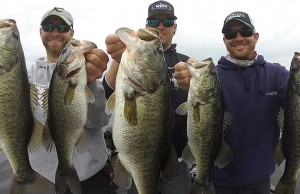 Differences Between Largemouth & Spotted Bass Differences Between Largemouth and Spotted Bass