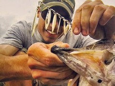 Learn All About Fishing with Spinnerbaits Learn All About Fishing with Spinnerbaits