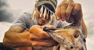 Learn All About Fishing with Spinnerbaits Learn All About Fishing with Spinnerbaits