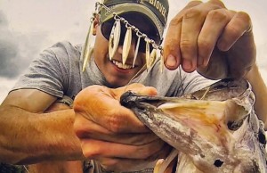 Learn All About Fishing with Spinnerbaits Learn All About Fishing with Spinnerbaits