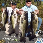What Is The Difference Between A Largemouth and Spotted Bass