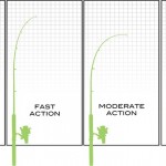 Fishing Rod Action Infographic