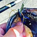 What Is A High Modulus Fishing Rod