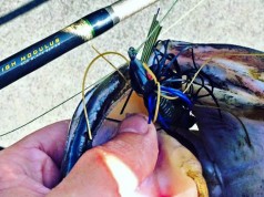 What Is A High Modulus Fishing Rod What Is A High Modulus Fishing Rod