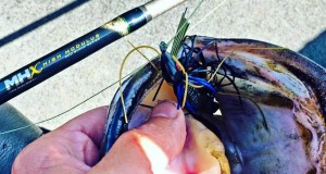 What Is A High Modulus Fishing Rod What Is A High Modulus Fishing Rod