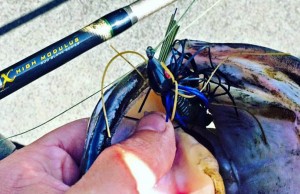 What Is A High Modulus Fishing Rod What Is A High Modulus Fishing Rod