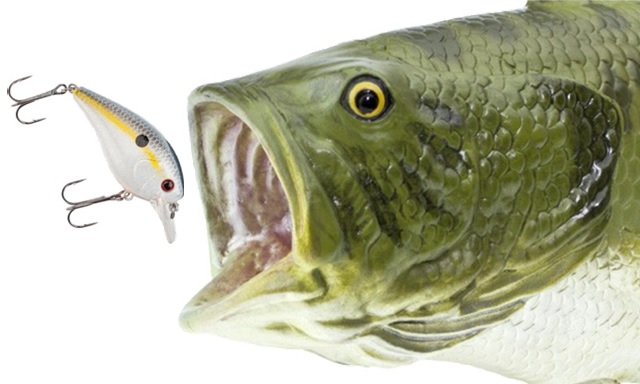 Top 10 Crankbait Design Elements For Tackle Makers