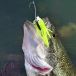 Build A Spinnerbait In 15 Easy To Follow Steps