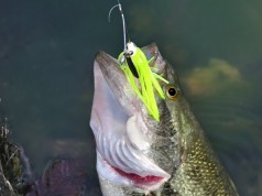 Build A Spinnerbait In 15 Easy To Follow Steps Build A Spinnerbait In 15 Easy To Follow Steps