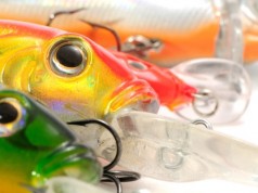 Top 10 Crankbait Design Elements For Tackle Makers Top 10 Crankbait Design Elements For Tackle Makers