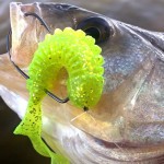 Understanding Soft Plastic Lure Design Characteristics