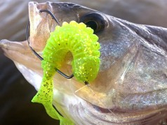 Understanding Soft Plastic Lure Design Characteristics Understanding Soft Plastic Lure Design Characteristics