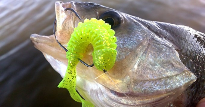 Understanding Soft Plastic Lure Design Characteristics