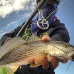 Why Use The American Tackle MicroWave Line Control System