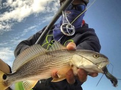 Why Use The American Tackle MicroWave Line Control System Why Use The American Tackle MicroWave Line Control System