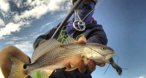 Why Use The American Tackle MicroWave Line Control System Why Use The American Tackle MicroWave Line Control System