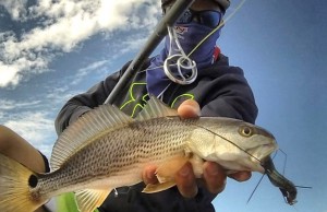 Why Use The American Tackle MicroWave Line Control System Why Use The American Tackle MicroWave Line Control System