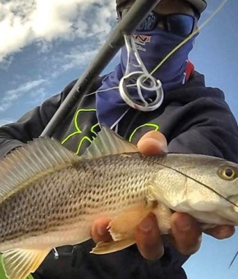 Why Use The American Tackle MicroWave Line Control System Why Use The American Tackle MicroWave Line Control System