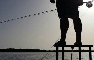 Building a Fishing Rod for Flats Fishing Choosing a Flats Fishing Rod