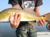 4 Tips for Building a Better Saltwater Fly Rod 4 Tips for Building a Better Saltwater Fly Rod