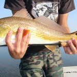 4 Tips for Building a Better Saltwater Fly Rod