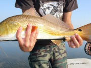 4 Tips for Building a Better Saltwater Fly Rod