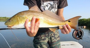 4 Tips for Building a Better Saltwater Fly Rod 4 Tips for Building a Better Saltwater Fly Rod