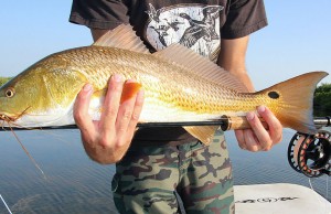 4 Tips for Building a Better Saltwater Fly Rod 4 Tips for Building a Better Saltwater Fly Rod