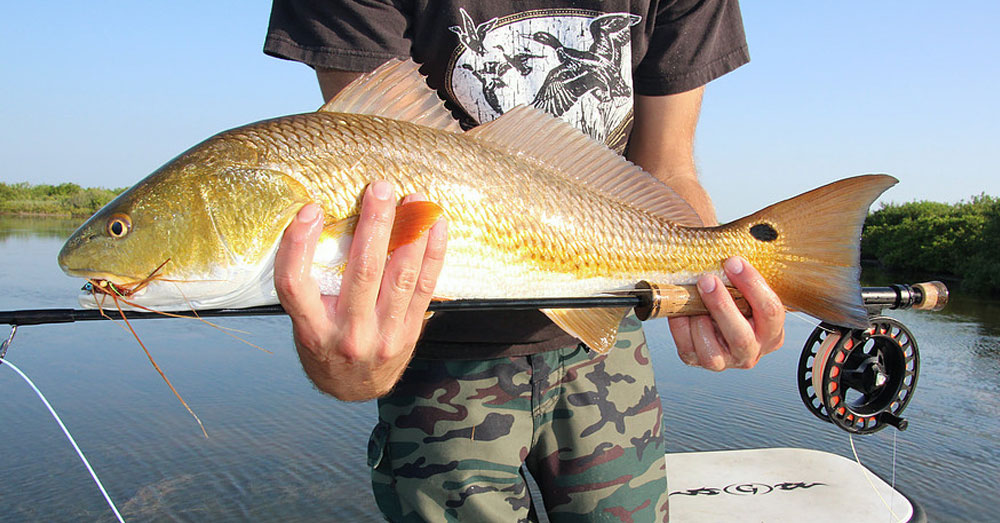 4 Tips for Building a Better Saltwater Fly Rod
