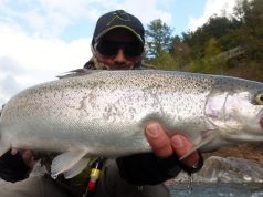 Catch Huge Trout Around Rocks With Tube Weight Rigs Catch Huge Trout Around Rocks With Tube Weight Rigs