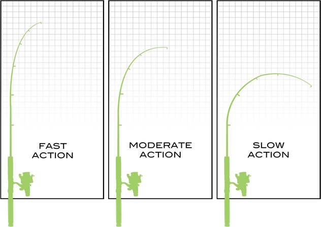 Fishing Rod Actions Vary But Fast Moderate and Slow Are Common