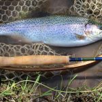 How To Select The Proper Fly Rods For Your Fishing Application