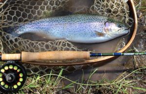 How To Select The Proper Fly Rod For Your Fishing Application How To Select The Proper Fly Rods For Your Fishing Application