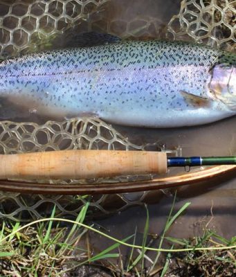 How To Select The Proper Fly Rod For Your Fishing Application How To Select The Proper Fly Rods For Your Fishing Application