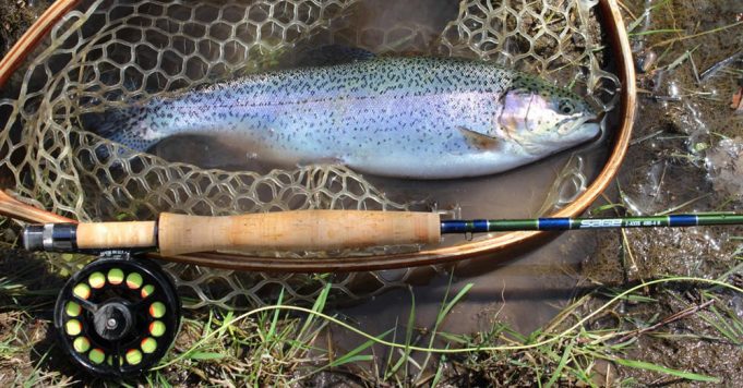 How To Select The Proper Fly Rods For Your Fishing Application