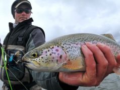 Top 7 Fly Fishing Tips For Catching Cold Weather Trout Top 7 Fly Fishing Tips For Catching Cold Weather Trout