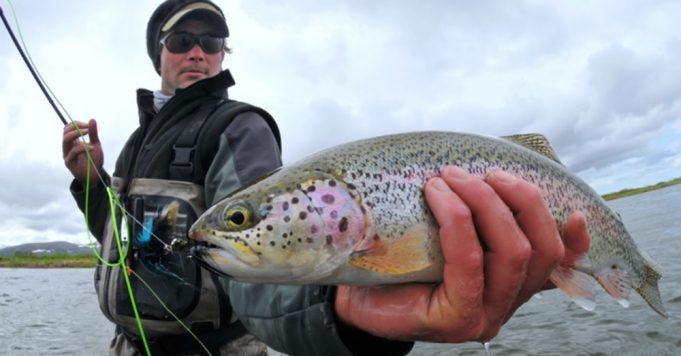 Top 7 Fly Fishing Tips For Catching Cold Weather Trout
