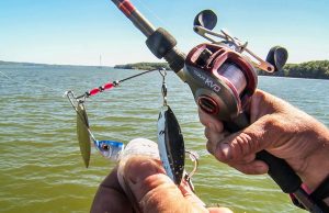 Kevin VanDam’s Spinnerbait Techniques Will Catch More Bass Kevin VanDam's Spinnerbait Fishing Techniques WIll Catch More Bass