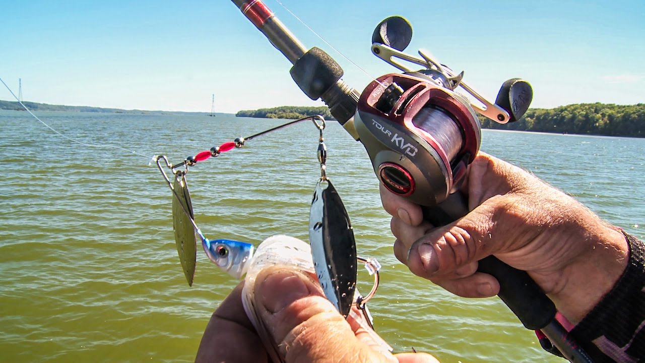 Kevin VanDam's Spinnerbait Fishing Techniques WIll Catch More Bass