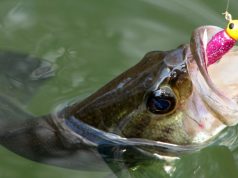 Do-It Essential Series Makes DIY Soft Plastics More Affordable Do-It Essential Series Makes DIY Soft Plastics More Affordable