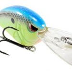 Round Bill Crankbait