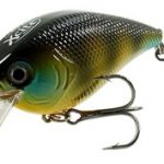 Square Bill Crankbait