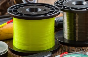 The Difference Between Monofilament & Fluorocarbon Fishing Line The Difference Between Monofilament and Fluorocarbon Fishing Line